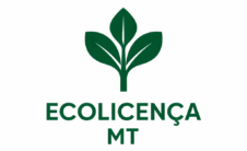 Blog Ecolicença-MT